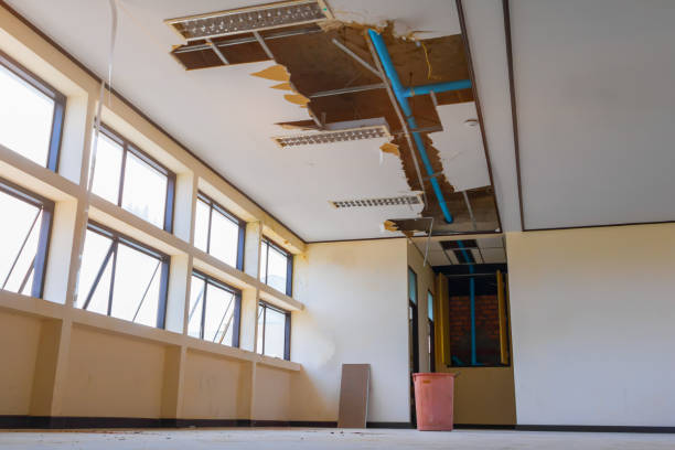 Best Water damage restoration company  in Alamo, NV