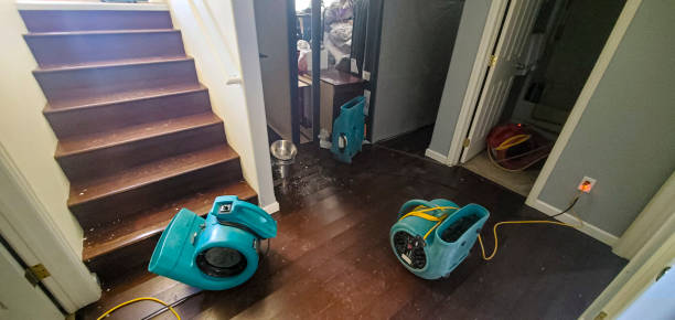 Best 24/7 water damage repair  in Alamo, NV