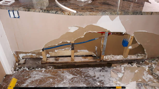 Alamo, NV Water damage restoration Company