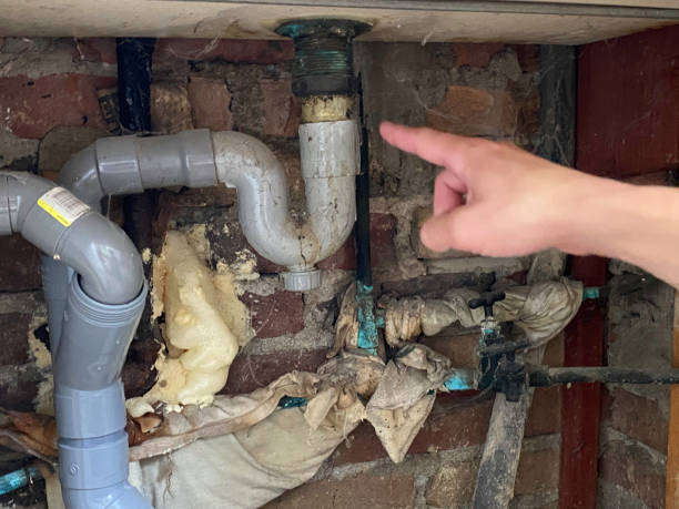 Best Fire Damage Restoration  in Alamo, NV